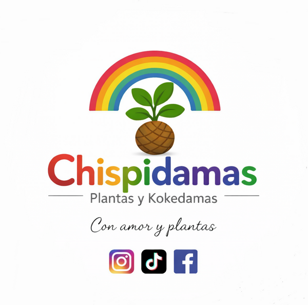 Chispidamas